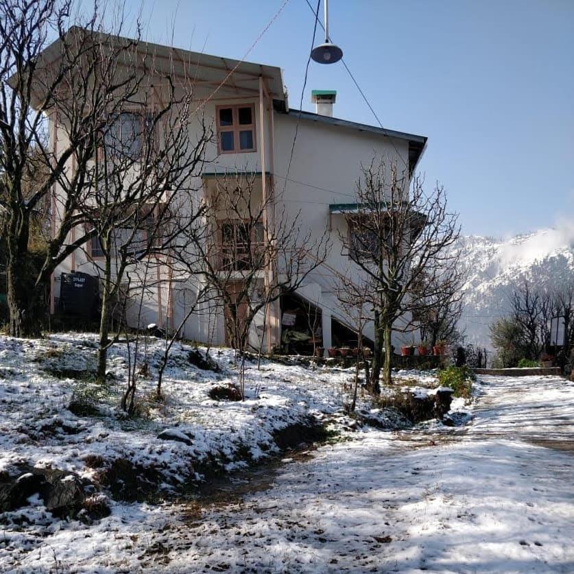 Aashirwad Homestay Kulu Dış mekan fotoğraf